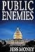 Public Enemies