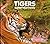 Tigers (How They Live)