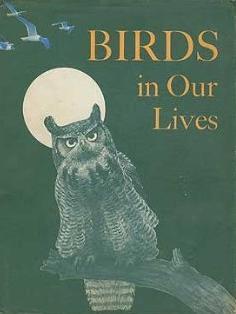 Birds in Our Lives