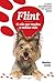 Flint, O cão que mudou a minha vida