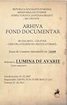 Lumina de avarie