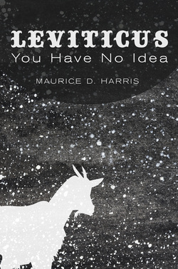 Leviticus: You Have No Idea (Kindle Edition)