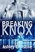 Breaking Knox (Chicago in Love, #3)