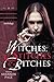 Witches, Stitches, and Bitches by Christine Morgan