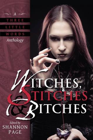 Witches, Stitches, and Bitches (Paperback)