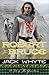 Robert the Bruce by Jack Whyte