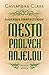 Mesto padlých anjelov (Nástroje smrteľníkov, #4)