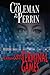 Cole Perriman's Terminal Games