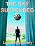 The Sky Suspended by Laura   Montgomery