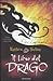 Il libro del drago