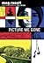 Picture Me Gone by Meg Rosoff