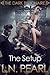 The Setup  (The Dark Billionaire, #1)