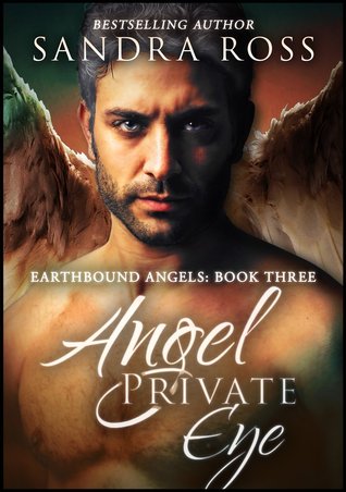 Angel Private Eye (Earthbound Angels, #3)