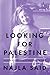 Looking for Palestine: Growing Up Confused in an Arab-American Family