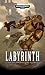 The Labyrinth (Heroes of the Space Marines)