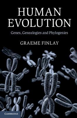 Human Evolution: Genes, Genealogies and Phylogenies (Hardcover)