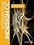Interactive InDesign CC: Br...