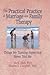 The Practical Practice of Marriage and Family Therapy by Terry S. Trepper