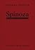 Spinoza: multitud, affect, ...