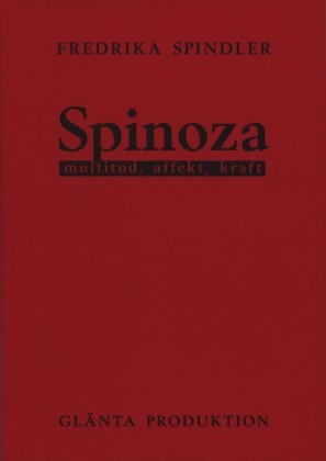 Spinoza: multitud, affect, kraft