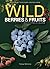 Wild Berries & Fruits Field Guide of Minnesota, Wisconsin and... by Teresa Marrone