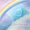 The Little Raindrop by Joanna  Gray