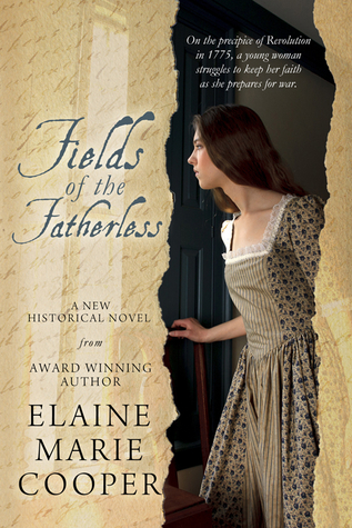 Fields of the Fatherless (Paperback)
