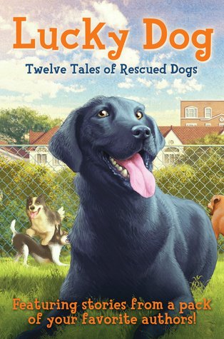 Lucky Dog: Twelve Tales of Rescued Dogs (Hardcover)