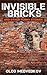 Invisible Bricks (Lunch Bre...