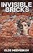 Invisible Bricks by Oleg Medvedkov