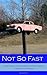 Not So Fast: An Anthology o...