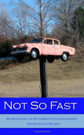 Not So Fast: An Anthology of Southern Literature and Humor