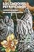 Los caciques petrificados y otras leyendas de la Patagonia nativa