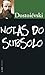 Notas do Subsolo