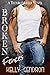 Broken Fences (TroubleMaker, #1)
