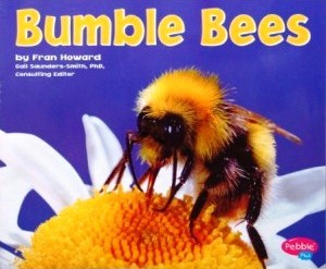 Bumble Bees (Bugs, Bugs, Bugs!)