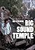 Big Sound Temple by Ben Stevens