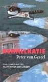 Rommelkatje