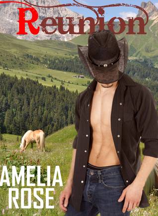 Reunion (Rancher Romance, #3)