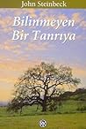 Bilinmeyen Bir Ta...