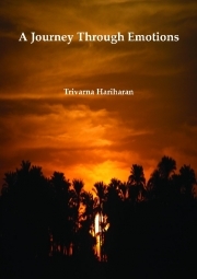 A journey through emotions