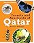 Insects and Arachnids of Qatar