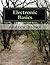 Electronic Basics