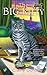 The Big Kitty (Sunny and Shadow Mystery #1)