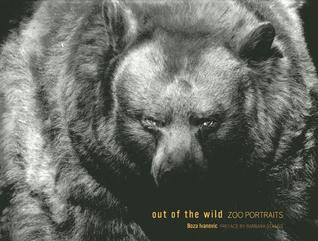 Out of the Wild: Zoo Portraits (Hardcover)