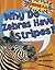 Why Do Zebras Have Stripes? (Science F.A.Q.)