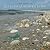 The Official Sea Glass Searcher's Guide by Cindy Bilbao