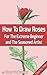 How To Draw Roses: For The ...