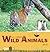 All About Wild Animals