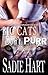 Big Cats Don't Purr (Shifter Town Enforcement, #3)